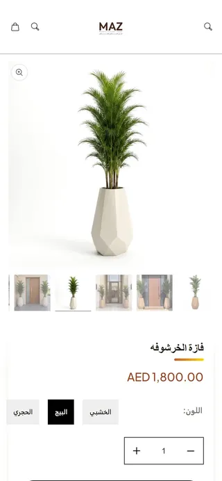 MAZ home page on mobile